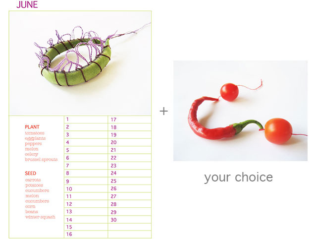 Planting Calendar plus 9" x 12 Limited Edition Print of your Choice