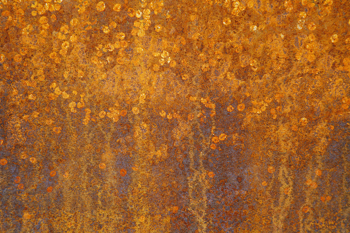 Rust in Bloom 8 from the Rust in Bloom Series