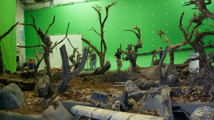 The Forest Set