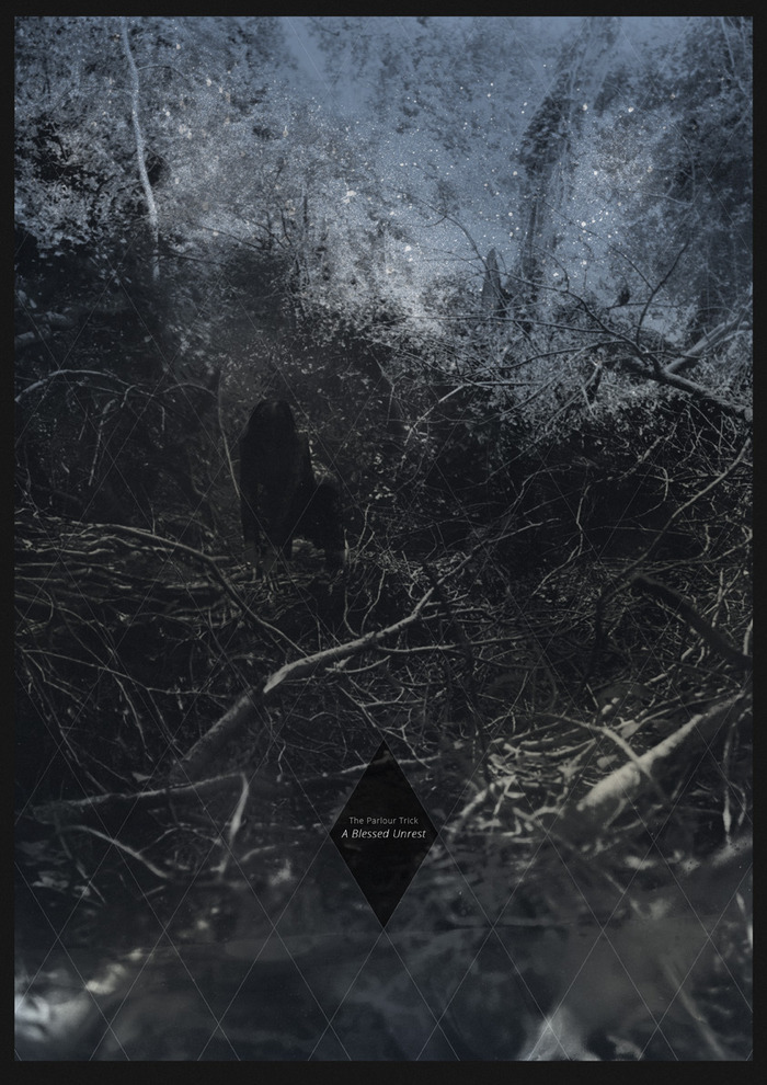 THE LAUDANUM HOLE ($45 tier): A big, breathtaking 18"x26” poster designed for The Parlour Trick by PRIZME, featuring the bewitching photography by Ellen Rogers. Printed on 13pt recycled matte paper.