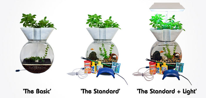 Kickstarter Rewards