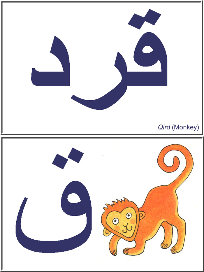 Qird (Monkey)