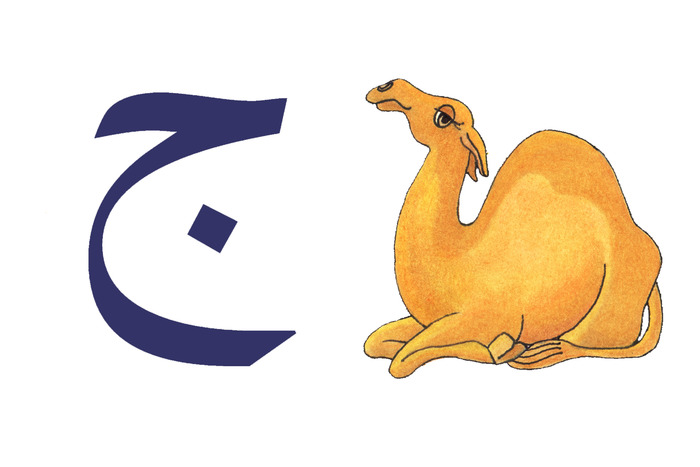 Jamel (Camel)