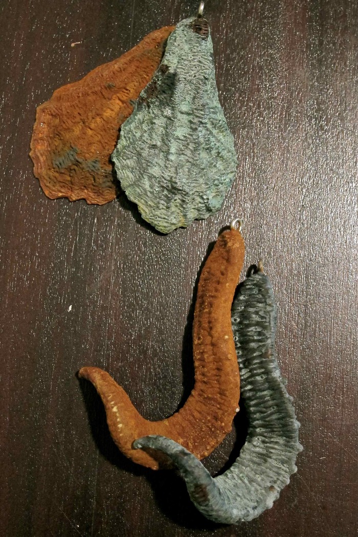 Primordial shells (top) and tentacles