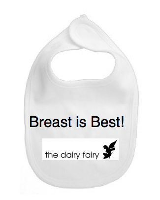 Breast is Best bib