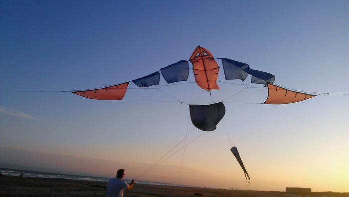 MiniMothra kite arch on Mustang Island, TX