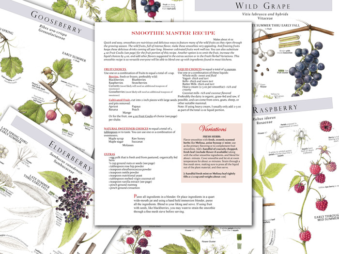 Plant Identification pages and Sample Recipe Template
