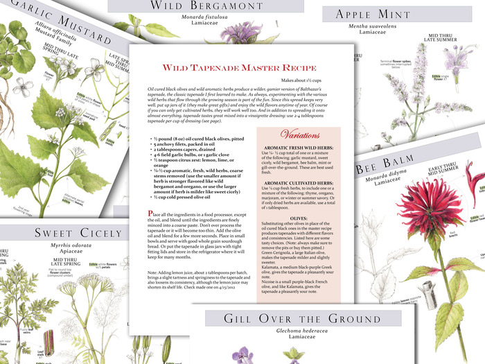 Plant Identification pages with Sample Recipe Template