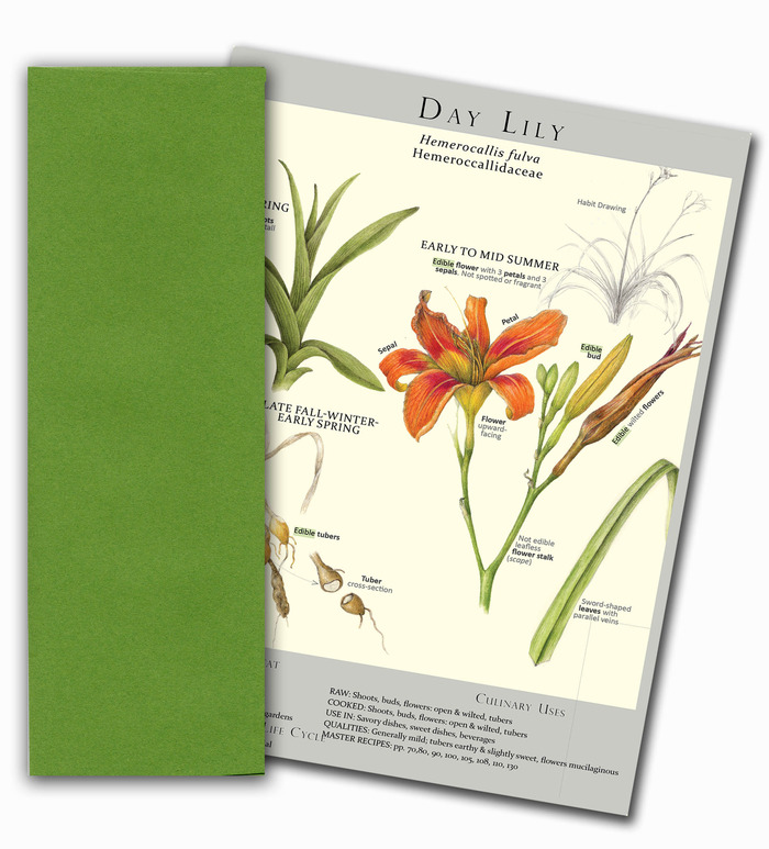 Sample of a Notecard/colored envelope
