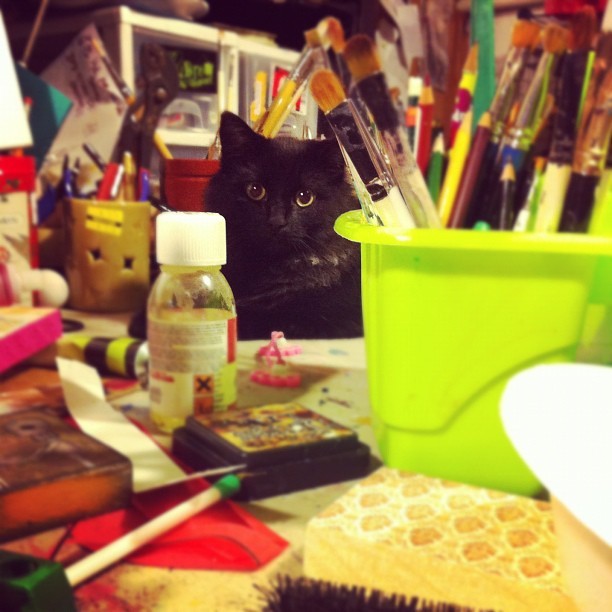 My Cat Toast ,always supervising my work
