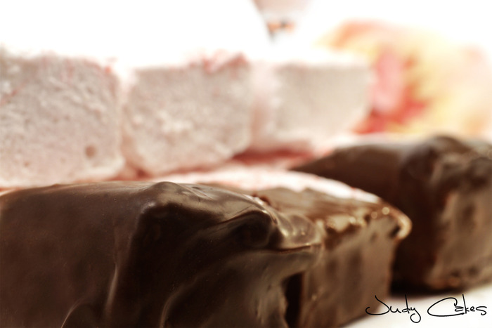 Champagne Chocolate Strawberry Covered Mallows (close up)