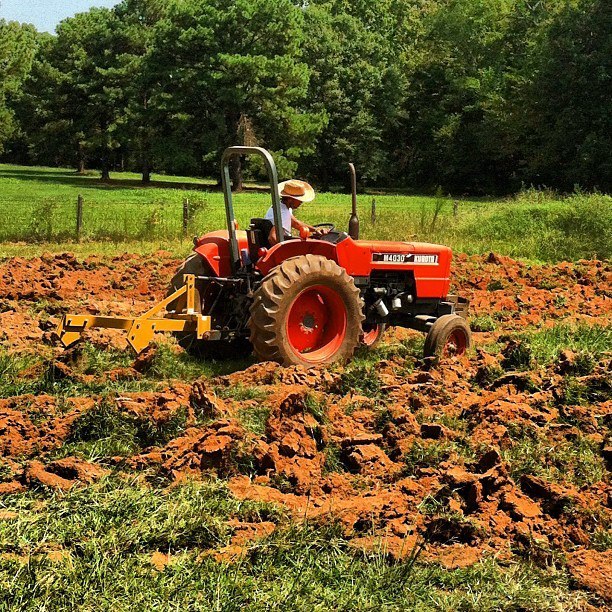 Breaking ground! The farm is so beautiful... :)