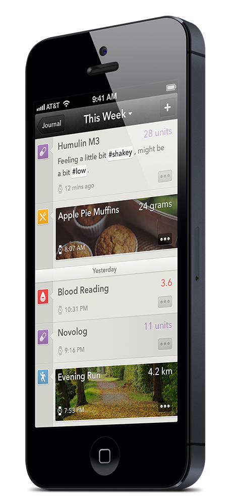 Early application design concept