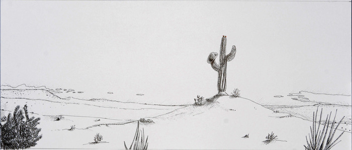 Film background: the desert, duh