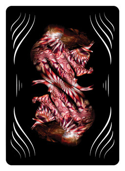 The Card Back