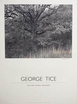 Oak Tree poster,19x25 printed in duotone,signed by George Tice