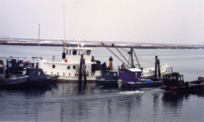 Laurel buying seed oysters from small skiffs in the Housatonic River, Stratford, CT. Seed purchases are best during the coldest months of the year.