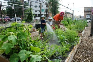 Everyone learns to grow food at Global!