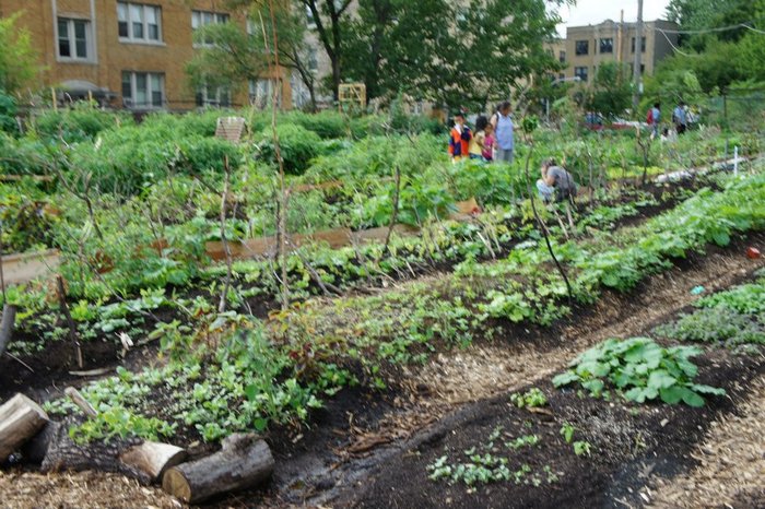 Refugee farmers