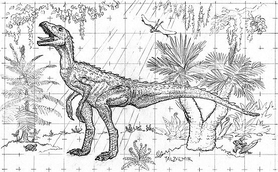 (Herrerasaurus, one of the earliest dinosaurs!)