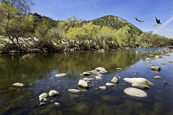 What, the LA River has water!? Photo courtesy of Board Member, Harry Chandler