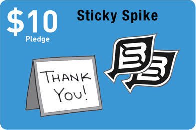 Sticky Spikes: Two BikeSpike stickers, one for you and one for a pal. Plus, a signed thank you note from the founder.