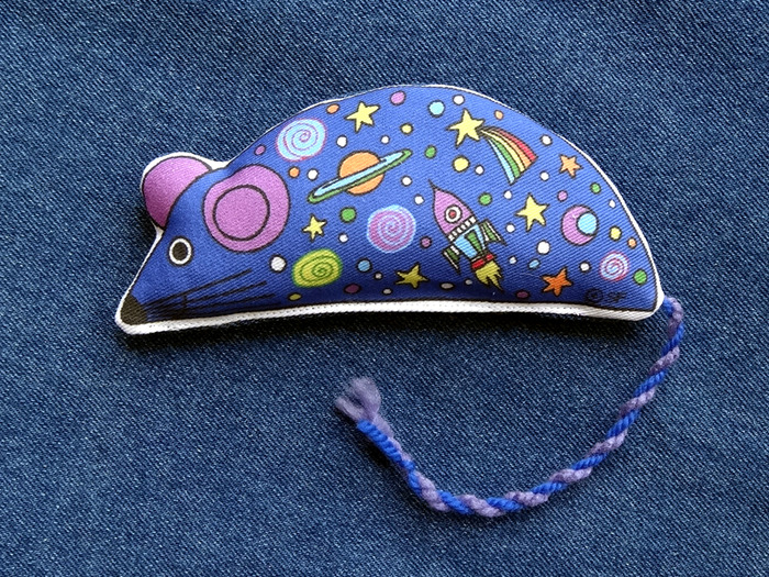 SPACE CADET