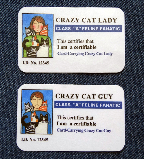 GENERIC I.D. CARD: You may choose from the "Cat Lady" or "Cat Guy" option.