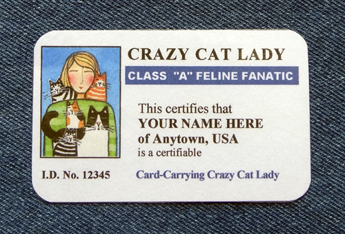 PERSONALIZED I.D. CARD: Customized with your own name, location and hair color (or that of a friend)