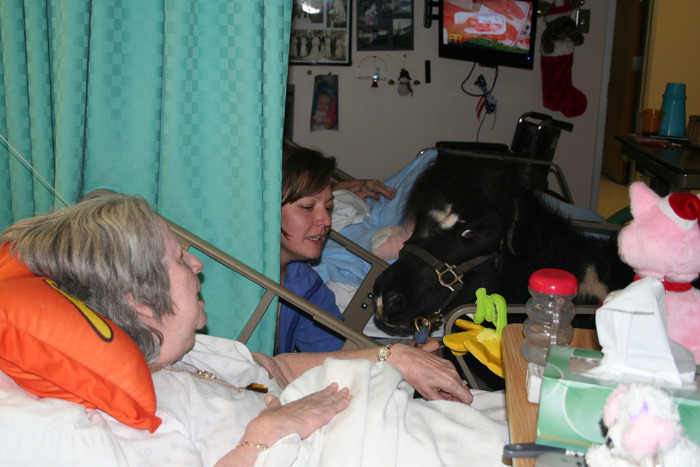 Lori and Lacey (RIP), our minihorse, bring joy to residents at a local nursing home.