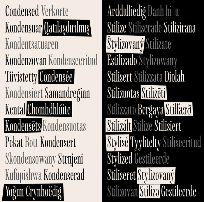 Tweegi has so many diacritic marks that they let it cover 105 languages.