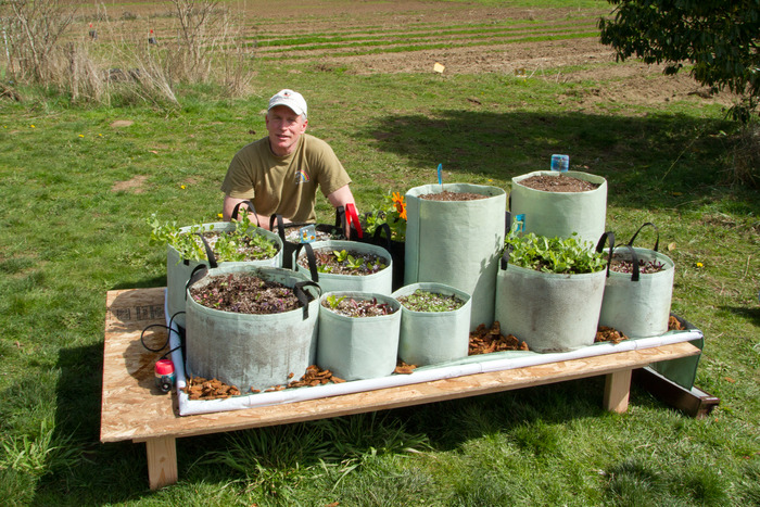 My garden fully loaded up