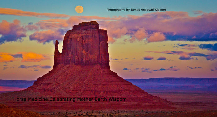 Horse Medicine Celebrating Mother Earth Wisdom