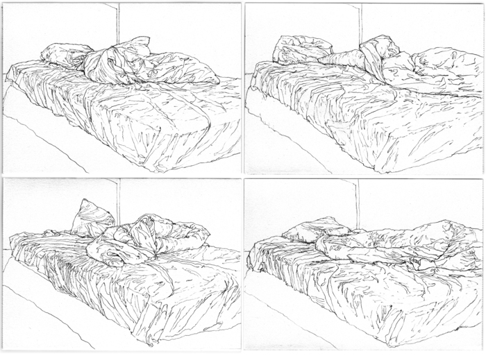 Examples of Pablo's camera lucida drawings, 2010.