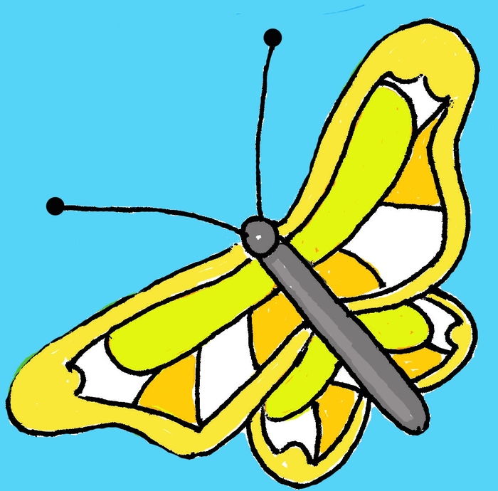 Butterfly in St. Elmo's Forest