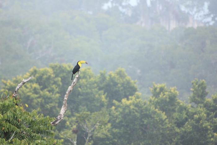 The morning of December 21st, 2012. Tikal, Guatemala.