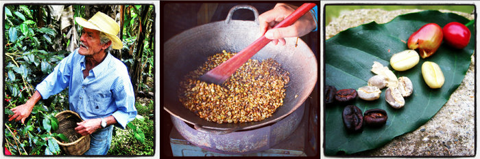 traveling to many coffee countries around the world to learn the art and craft of roasting
