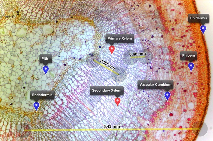 This is an example of the measurement and annotation tools available in the current app.