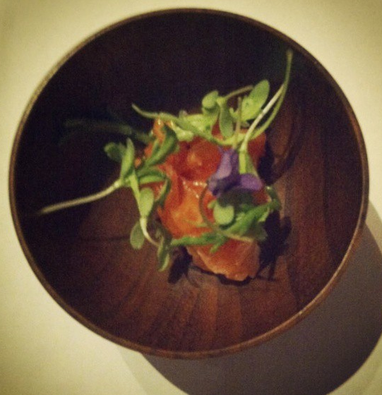 Arctic Char