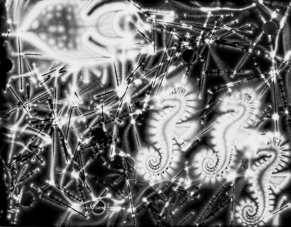 Sea Horses for Painleve- Electrographic Photograph