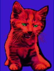 ChromaKitten Sticker