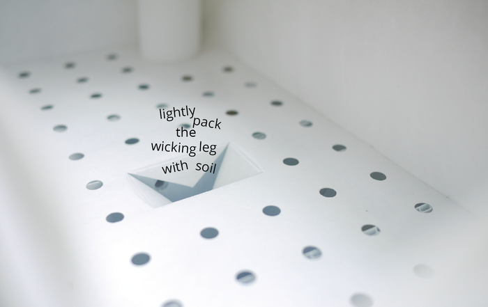 The wicking leg pulls water up from the reservoir and delivers it to the plant’s roots