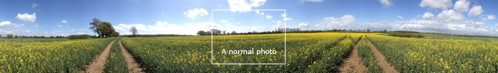 A field in Wiltshire (click to view immersively full screen)