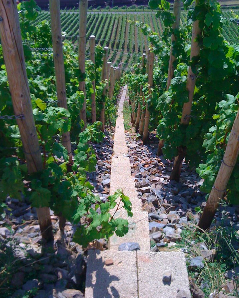 The little staircase in the steep Erdener Treppchen vineyard
