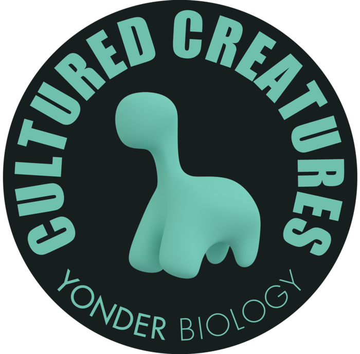 DINO STICKER
