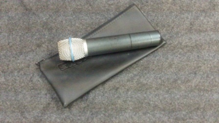 Petra Tour Microphone