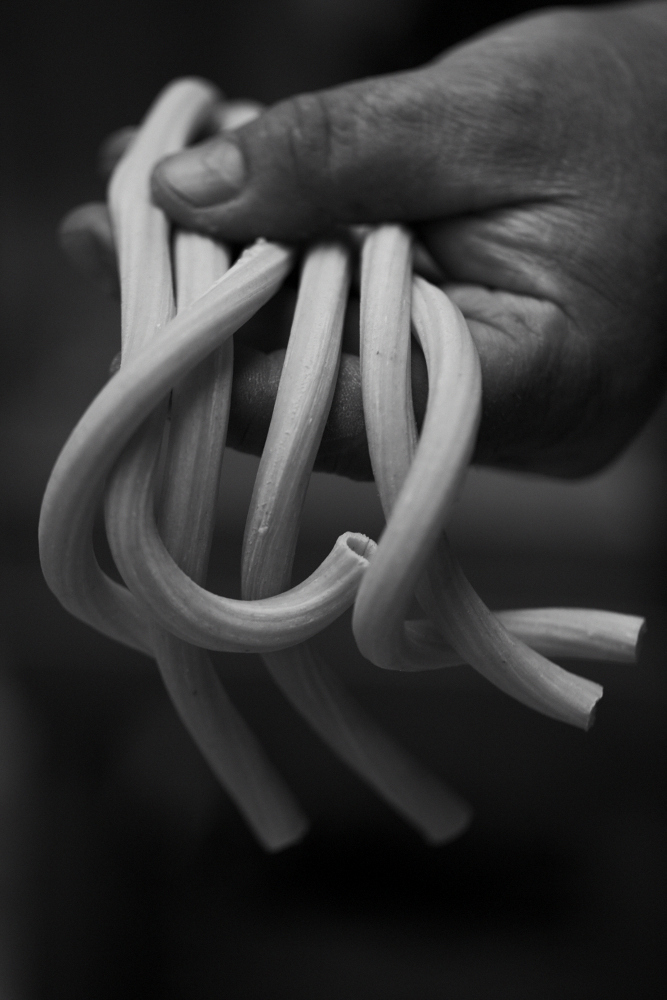 Angelo's Pasta (photo by Laurie Frankel)