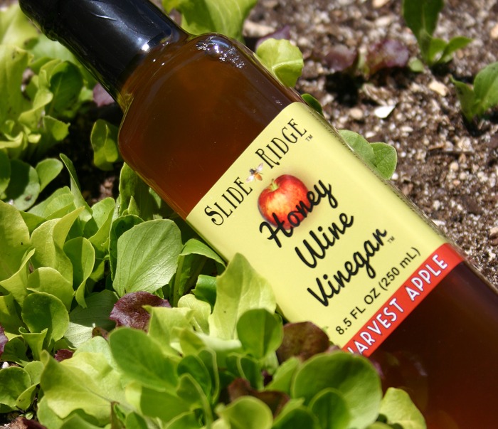 Harvest Apple Honey Wine Vinegar
