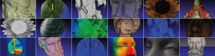 3D scan images taken with our Fuel3D functional prototype