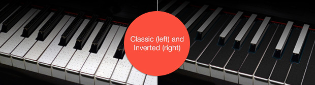 Photo of the classic look and a mock-up of the "inverted" colouring. Both work exactly the same, pick your favourite!